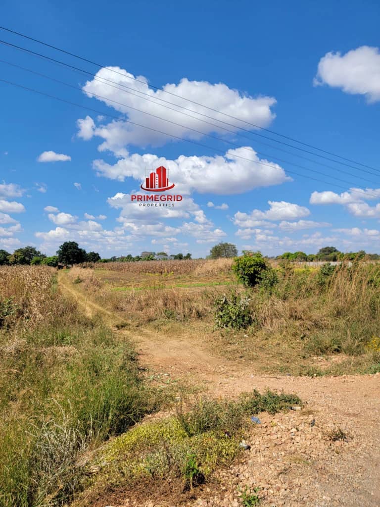 Seller-supplied photograph of land beside Great North Road